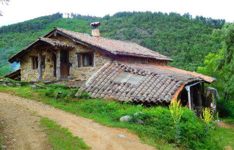 Biohof