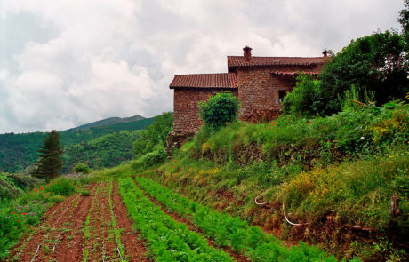 Haus_und_Garten