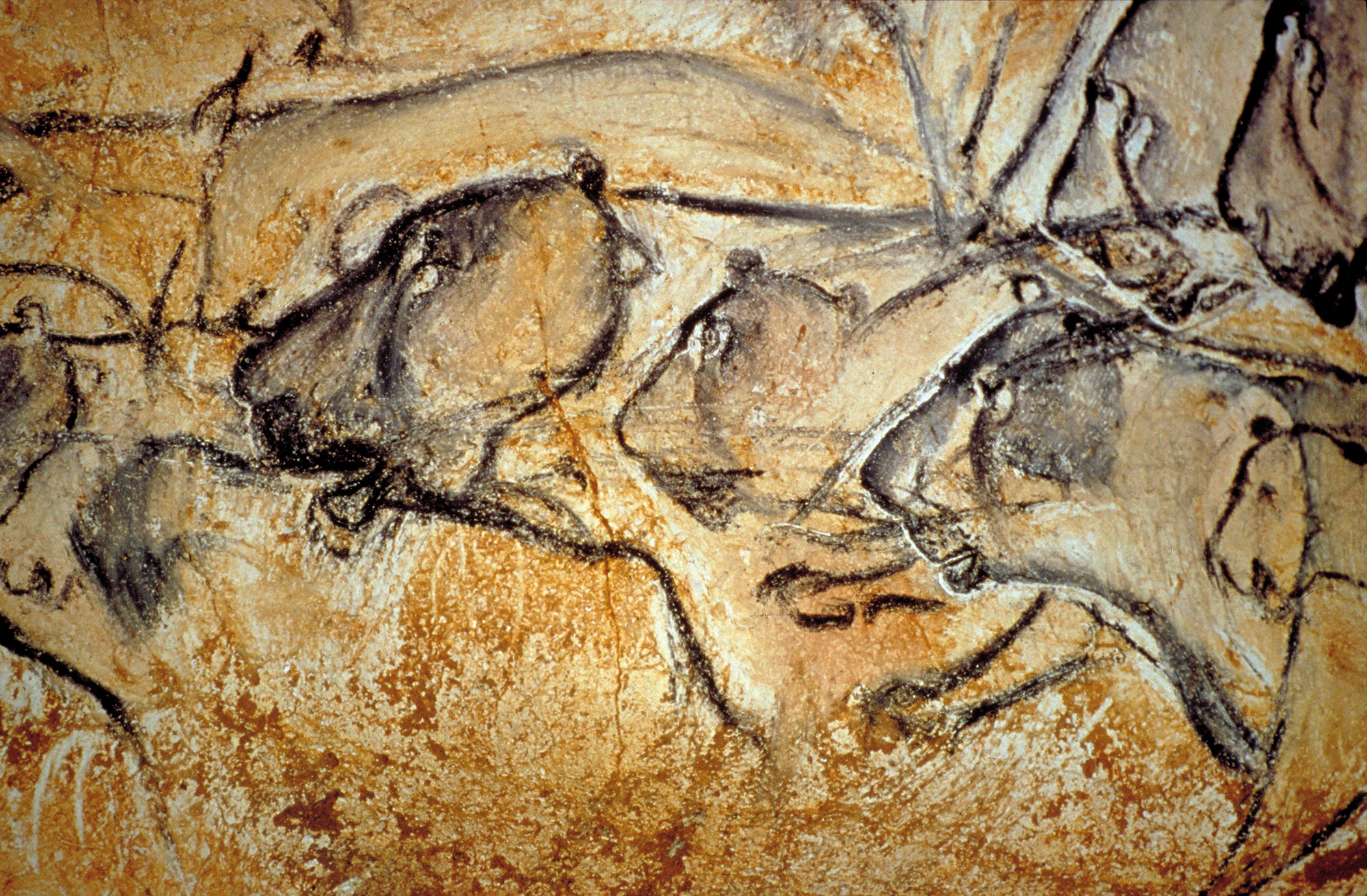 Grotte Chauvet in der Ardecge