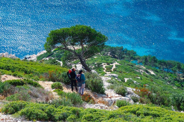 Wanderreise nach Marseille, wandern in den Calanques