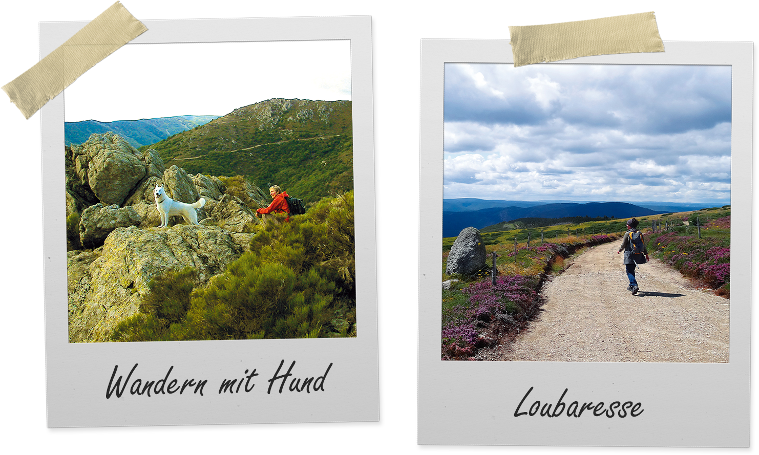 standortwanderung-berge-ardeche-polaroid